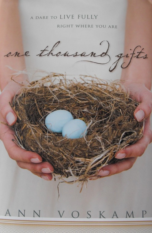 2011 2 27 One Thousand Gifts bookcover[1]