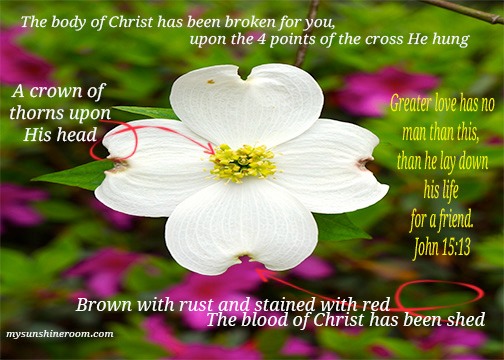 Dogwood Picture Prayer
