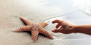 starfishandhand